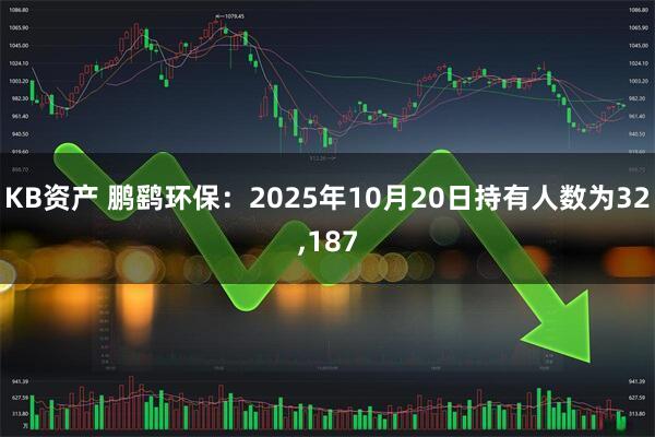 KB资产 鹏鹞环保：2025年10月20日持有人数为32,187