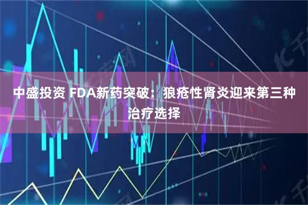中盛投资 FDA新药突破：狼疮性肾炎迎来第三种治疗选择