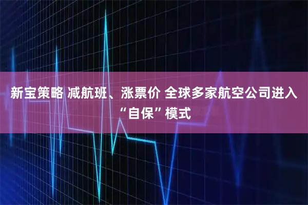 新宝策略 减航班、涨票价 全球多家航空公司进入“自保”模式