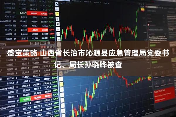 盛宝策略 山西省长治市沁源县应急管理局党委书记、局长孙晓晔被查